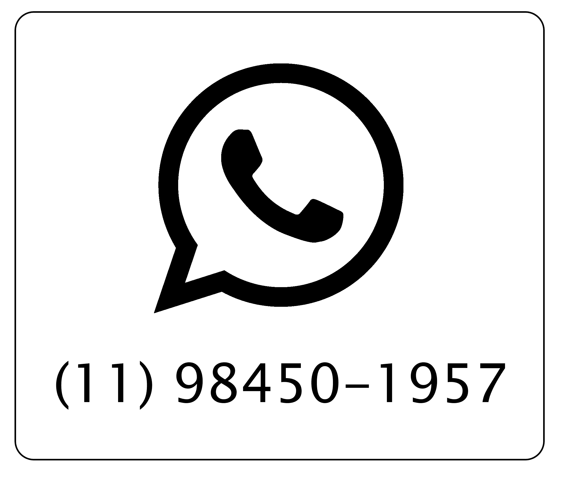 Dedetização de Pombos